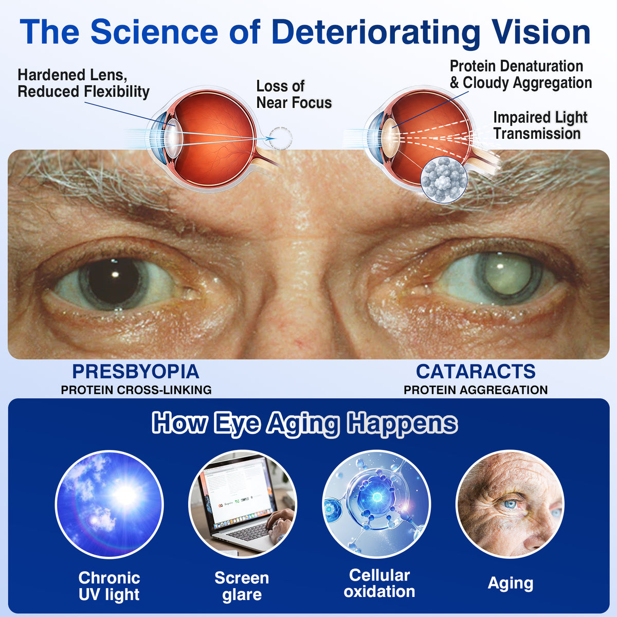 🇨🇦👨‍⚕️✅✅DR.Fachmer® LensVital Crystalline Degeneration Repair NanoDrops