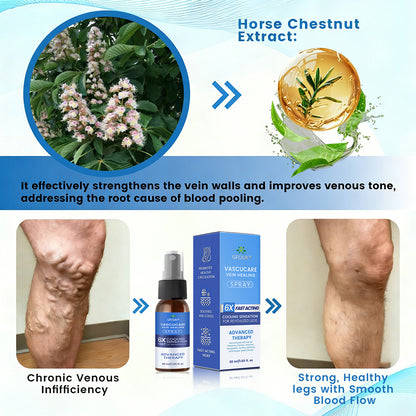 🇨🇦✅✅GFOUK® VascuCare Vein Healing Spray(Designed for Varicose veins, Spider veins, Deep vein Thrombosis, Chronic venous insufficiency, Venous ulcers, Thrombophlebitis and other venous issues)
