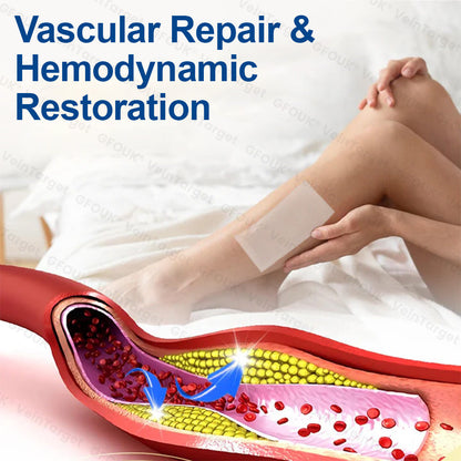 🇨🇦💙👨‍⚕️✅GFOUK® VeinTarget Microneedle Patch⚡Instant Relief, Long-Term Results